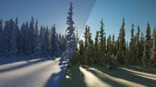 4A0-100 Nokia Scalable IP Networks Certified Practice Exam