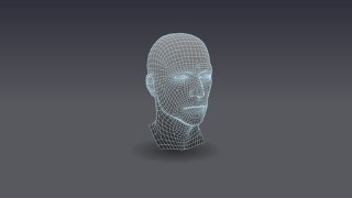 Altair HyperWork - Modelling - Meshing - Run Solver File