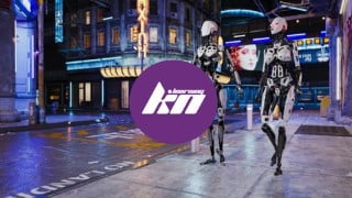 Avaya IP Office Server