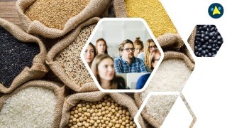 B2B Marketing: Customer Segmentation Strategies And Models