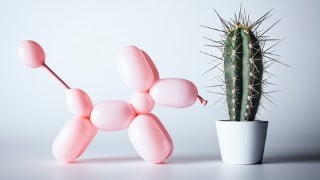Balloon Art For Beginners!