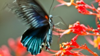 Be an Agent for Positive Change: Positivity Strategies