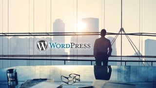Become A WordPress Web Design Expert Without Any Coding