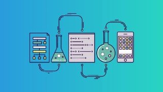 beginner to advanced - how to become a data scientist