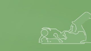 Binary Option Trading Strategy with Moving Average Indicator