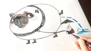 Boost your Creativity and become an Illustrator