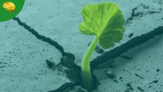 Boost Your Resilience and Thrive in Uncertain Times