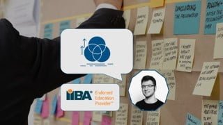 Business Agility - the Beginner's Guide (IIBA® endorsed)