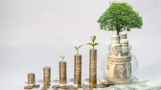 Business growth for entrepreneurs