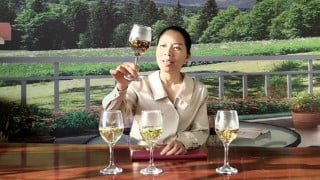 Chapter3/4: All the Yellow Tea and White Tea in China