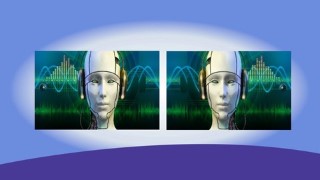 Chatbots (Advanced): Fast Track Training