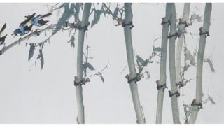 Chinese painting / Sumie course : painting bamboo