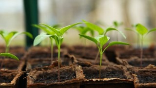 Christianity: How to Read the Bible, Pray, and Grow