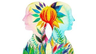 COLOR THERAPY: Color Therapy Certification!
