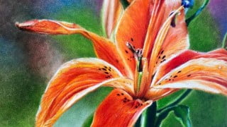 colored pencils on sanded paper, the basics