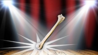 Comedy for Beginners: How to Hit Your Funny Bone