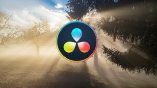 Complete Guide to DaVinci Resolve 15 Video Editing