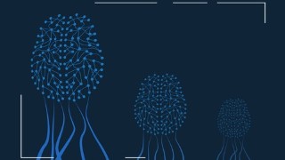 Complete Machine Learning and Deep Learning With H2O in R
