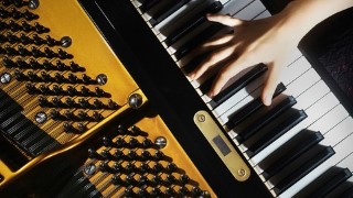 Compose at the Keyboard with the Pyramids Variations