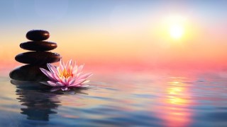 Consciously Creating - Healing Your Unconscious Patterns
