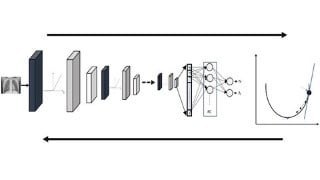 Convolutional Neural Networks for Medical Images Diagnosis