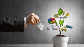 Corporate investment management: from beginner to expert.