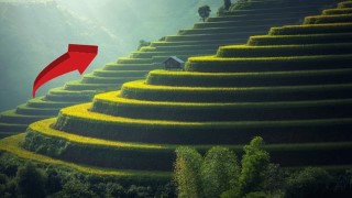 Create Your Personal Mission Statement - Why and How