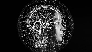 Creating & Sustaining Mind Fitness