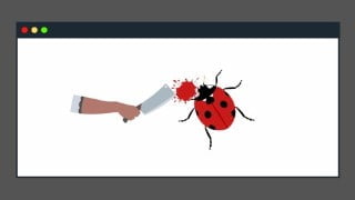 CVE's for Ethical Hacking Bug Bounties & Penetration Testing
