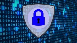Cyberhacker Series: Hacking Databases