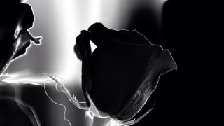 Death, Grief, Bereavement and Healing in depth (70 hours )