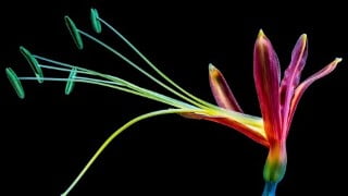 Design Thinking for Business Innovation