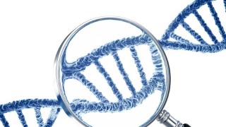 Developmental Psychology Practice Tests