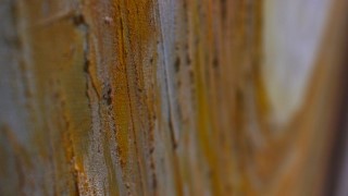 Discover Abstract Painting Part 1 - Starting from realism.