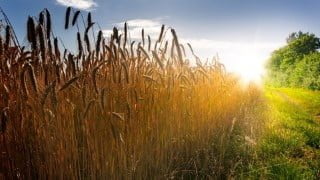 Doing Money God's Way