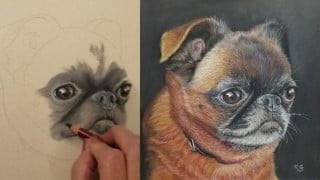 Draw and Paint a Pet Portrait Accurately