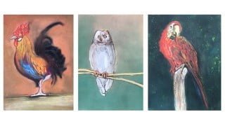 Drawing Birds with Pastels in Renaissance Style