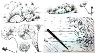 Drawing Nature - Flowers and Rocks Edition