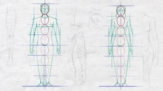 Easy Steps to Figure Drawing - Anatomy of Male & Female Body