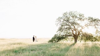 Editing for hybrid film + digital wedding photographers!