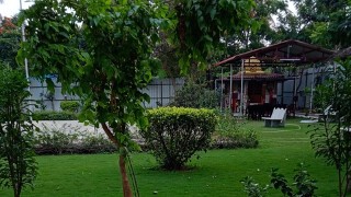 English literature Dance Drama Prose Poetry Grammar Essays