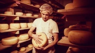 Farm Cheese Making for Beginners
