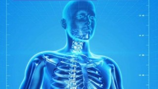 Fully Accredited Foundation Level Kinesiology Course