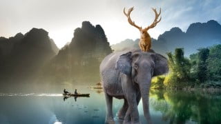 Fun with Photos: Photobashing and Photo Manipulation (2021)
