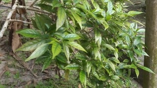 Fundamental Principles of Banking and Finance