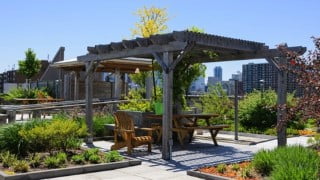 Green Roofs and Living Walls