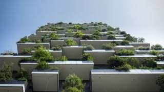 Green walls and Green roofs