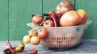 Growing and Preparing Your Own Lacto-Fermented Food