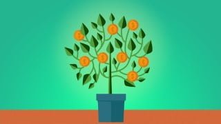 Growing Your Future: Financial Investment Tips for Women