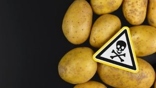 HACCP for Food Safety (Foundational course for ISO 22000)